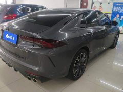 Trumpchi Yingbao 270T DCT J11 - photo 3