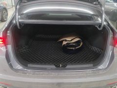 Trumpchi Yingbao 270T DCT J11 - photo 4