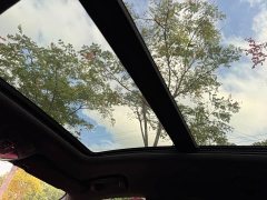 Maserati Levante 3.0T Standard Edition - ფოტო 12