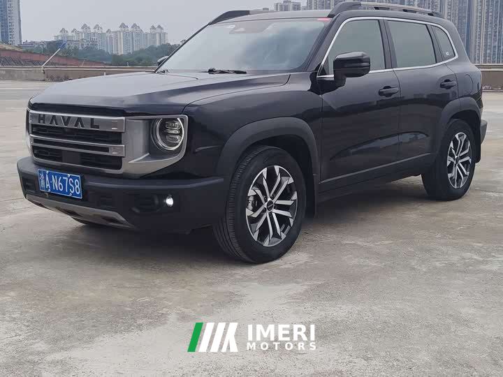 Great Wall Dachshund 1.5T DCT Two-Wheel Drive Border Collie Edition