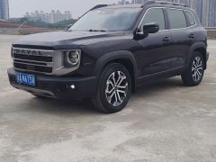 Great Wall Dachshund 1.5T DCT Two-Wheel Drive Border Collie Edition - photo 1