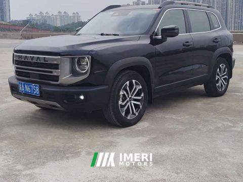 2023 Great Wall Dachshund 1.5T DCT Two-Wheel Drive Border Collie Edition