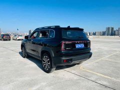 Great Wall Dachshund 1.5T DCT Two-Wheel Drive Border Collie Edition - photo 15