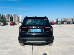 Great Wall Dachshund 1.5T DCT Two-Wheel Drive Border Collie Edition - photo 16