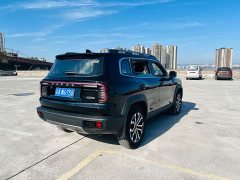 Great Wall Dachshund 1.5T DCT Two-Wheel Drive Border Collie Edition - photo 17