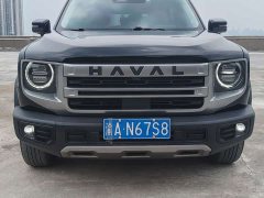 Great Wall Dachshund 1.5T DCT Two-Wheel Drive Border Collie Edition - photo 2