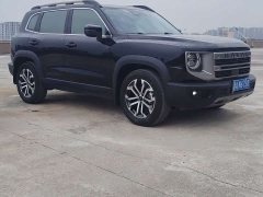 Great Wall Dachshund 1.5T DCT Two-Wheel Drive Border Collie Edition - photo 3
