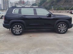 Great Wall Dachshund 1.5T DCT Two-Wheel Drive Border Collie Edition - photo 4