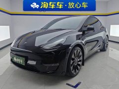 Tesla Model Y Performance All-Wheel Drive - фото 1