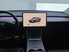 Tesla Model Y Performance All-Wheel Drive - фото 13