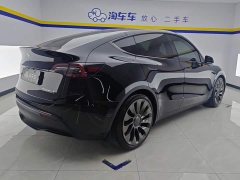 Tesla Model Y Performance All-Wheel Drive - фото 3