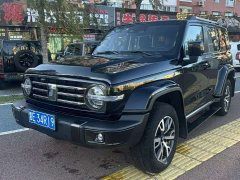 Tank 300 City Edition 2.0T Stylish - фото 1