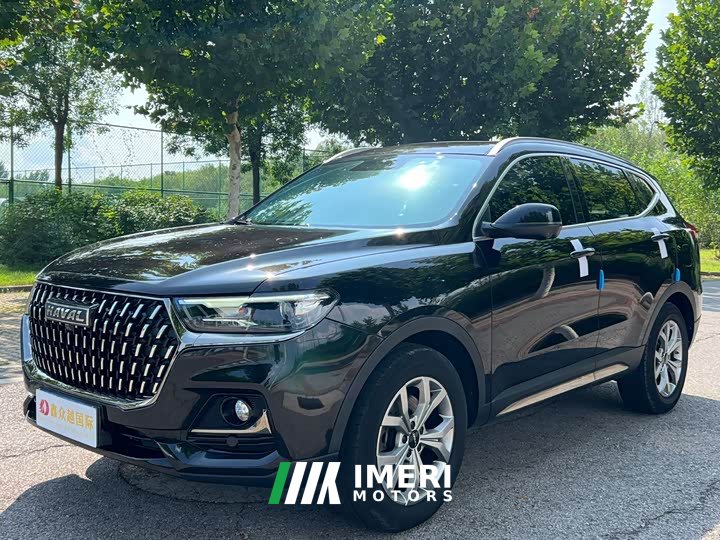 Haval H6 National Trend 1.5T Automatic Champion Edition - ავტომობილი ჩინეთიდან