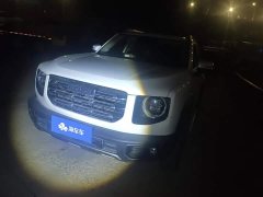 Great Wall Dachshund 1.5T DCT Two-Wheel Drive Labrador Edition - photo 1