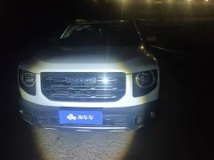 Great Wall Dachshund 1.5T DCT Two-Wheel Drive Labrador Edition - photo 2