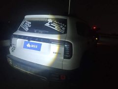 Great Wall Dachshund 1.5T DCT Two-Wheel Drive Labrador Edition - photo 3