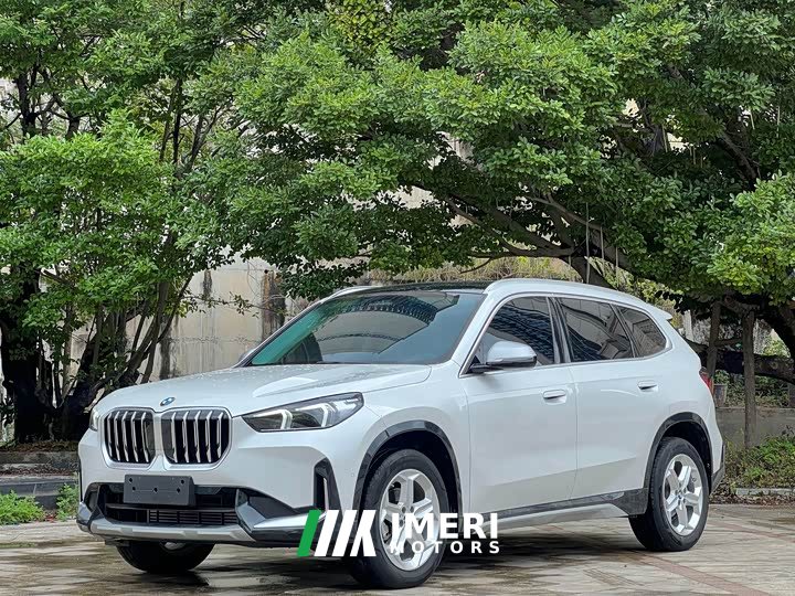 BMW X1 sDrive20Li X Design Package - car from China