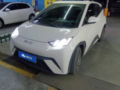 BYD Seagull 305km Vitality Edition - ფოტო 1