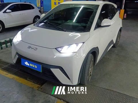 2025 BYD Seagull 305km Vitality Edition - ავტომობილი ჩინეთიდან