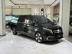 Mercedes-Benz V-Class V 260 L Long Wheelbase Luxury Edition - фото 3