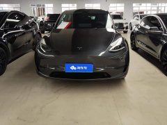 Tesla Model Y Rear-Wheel Drive - ფოტო 2