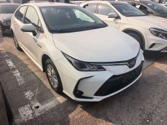 Toyota Corolla Hybrid 1.8L E-CVT Pioneer Edition - photo 3