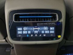 Denza N9 Flagship - ფოტო 12