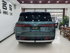 Denza N9 Flagship - ფოტო 5