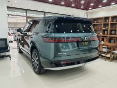 Denza N9 Flagship - ფოტო 6