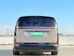 Li Auto MEGA Home Family Edition - photo 13