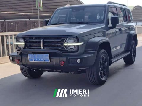 2021 Tank 300 Off-Road Edition 2.0T Conqueror - автомобиль из Китая
