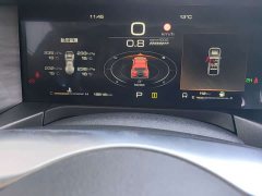 Tank 300 Off-Road Edition 2.0T Conqueror - ფოტო 12