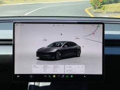 Tesla Model 3 Rear-Wheel Drive - ფოტო 14