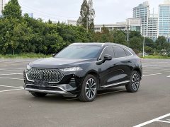 Great Wall Wei Brand Mocha 2.0T AWD Premium Edition - ფოტო 1