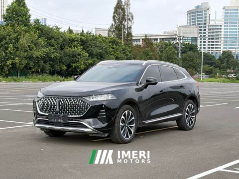 2022 Great Wall Wei Brand Mocha 2.0T AWD Premium Edition - автомобиль из Китая