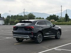 Great Wall Wei Brand Mocha 2.0T AWD Premium Edition - ფოტო 13