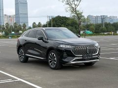 Great Wall Wei Brand Mocha 2.0T AWD Premium Edition - ფოტო 3