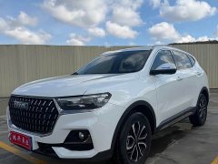 Haval H6 National Trend Edition 1.5T Automatic Urban Version - photo 1