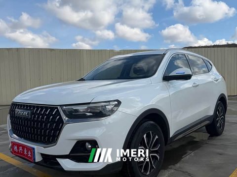 2024 Haval H6 National Trend Edition 1.5T Automatic Urban Version - ავტომობილი ჩინეთიდან