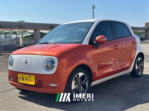 2022 ORA Black Cat 351km Comfort Edition Ternary Lithium - ავტომობილი ჩინეთიდან