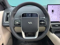 Li Auto L6 Pro - ფოტო 8