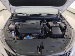 Changan Eado Enjoy Plus Blue Whale NE 1.4T GDI DCT Luxury Edition - photo 10