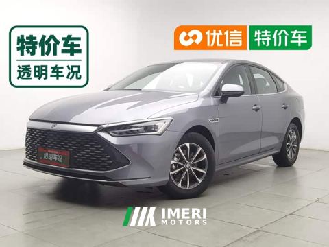 2023 BYD Qin PLUS Champion Edition DM-i 55KM Leading