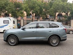 Jetour Jietu X70L 2.0T Automatic Flagship 7-Seater - photo 8