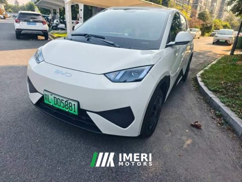 2025 BYD Seagull 305km Vitality Edition - ავტომობილი ჩინეთიდან