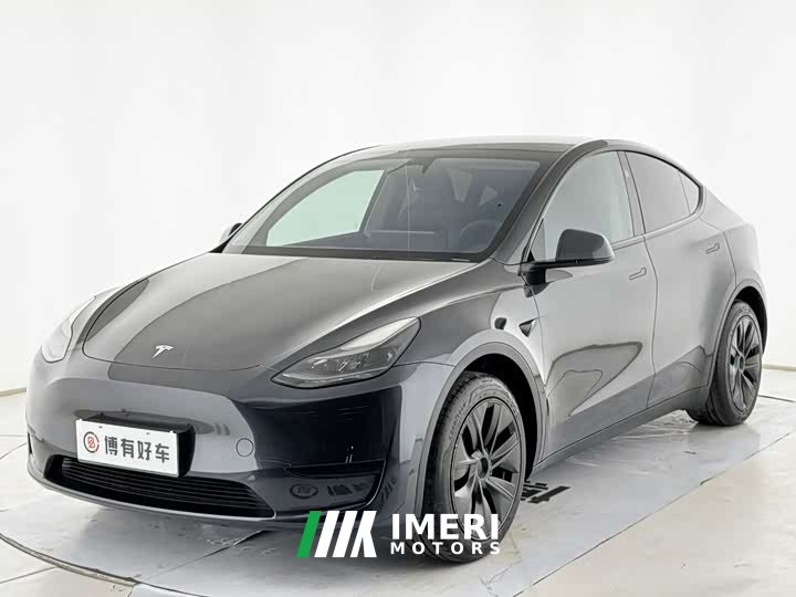 Tesla Model Y Rear-Wheel Drive