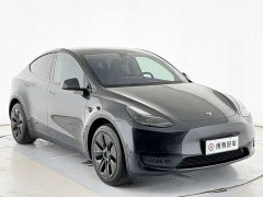 Tesla Model Y Rear-Wheel Drive - ფოტო 3