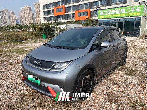 2022 BYD Dolphin 405km Freedom Edition - ავტომობილი ჩინეთიდან