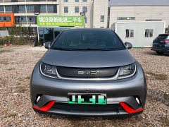 BYD Dolphin 405km Freedom Edition - ფოტო 2