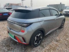 BYD Dolphin 405km Freedom Edition - ფოტო 8